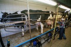 Danone реконструировал молокозавод в Екатеринбурге