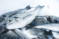 В Свердловскую область пытались завезти потенциально опасную рыбную продукцию