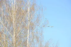 В Екатеринбурге состоялась вторая репетиция авиационной части парада