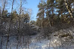 Премьер Паслер отменил решение областного минстроя по застройке парка РТИ