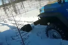 В Якутии вахтовики двумя «Уралами» раздавили медведя и добили его ломами