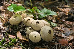 Мэрия: Екатеринбург готов к отопительному сезону на 90%