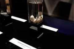 Флешмоб от РПЦ: на Плотинке выложат человеческий эмбрион из 600 лампадок