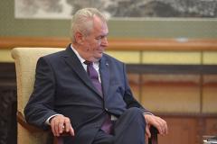 Президент Чехии начал передвигаться в инвалидном кресле