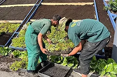 Минтруд предложил на 20% увеличить квоту на прием трудовых мигрантов