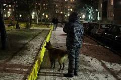 Убийством актером студентки Высшей школы экономики займутся «важняки»