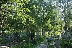 Гулявшие грязными ногами по монументу ВОВ в Йошкар-Оле иностранные туристы отправлены в колонию