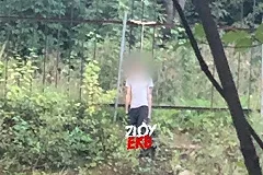 Труп молодого человека обнаружила екатеринбурженка, гуляя с собакой