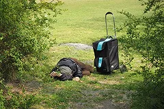 После визита Елены Летучей владелец пироговой задумался об эмиграции