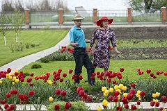 Психологи: Бездетные семьи счастливее остальных