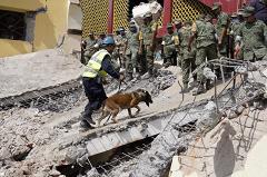 Землетрясение в Мексике: число погибших выросло до 61, ущерб — 100 миллионов $
