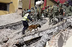 Землетрясение в Мексике: число погибших выросло до 61, ущерб — 100 миллионов $