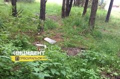 Кладбище домашних животных уничтожили в Первоуральске