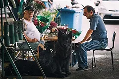 Михаил Мальцев: При всем росте Грузия не составила бы конкуренции нашему югу