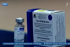 Spectator заявил о зарождении новой дружбы России и Германии