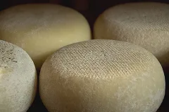 Россияне в кризис перешли с твердого сыра на плавленый