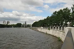 Евгений Ройзман пообещал уберечь Зеленую Рощу и сквер у «Космоса» от уничтожения