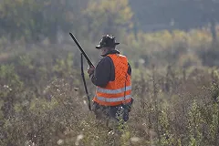 Уголовное дело об «огнестрелах» в лагере «Дружба» забирает СКР