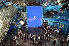 Сотрудник Приморского океанариума сообщил о кормежке животных гнилой рыбой