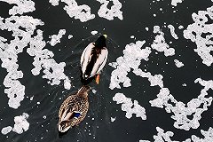 Гидрометцентр России опубликовал для Среднего Урала прогноз на март