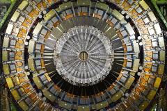 Хорек приостановил работу Большого адронного коллайдера