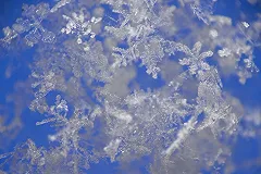 AliExpress раскрыла самые популярные товары перед Новым годом