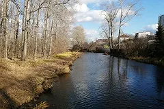 Мэрия придумала, за чей счет решить проблему набережной на Уктусе. Это будут застройщики