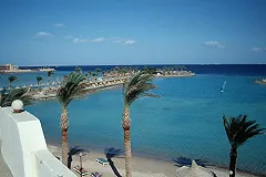 Египетские власти предпримут меры по защите туристов от акул