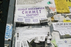 Задержанный насильник работал расклейщиком объявлений