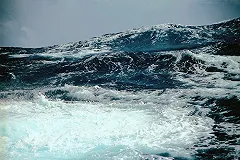 На дрейфовавшего больше года в открытом море рыбака подали в суд за каннибализм