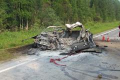 После лобового столкновения в одном из автомобилей сгорел водитель