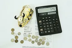 Россияне назвали необходимый доход для жизни на пенсии