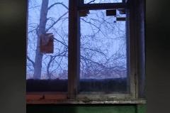 Жители Екатеринбурга пожаловались на то, что вынуждены жить в грязи и темноте