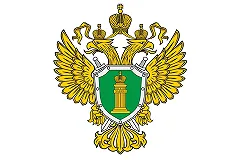 Прокуратура привела шокирующие факты о работе полиции Екатеринбурга