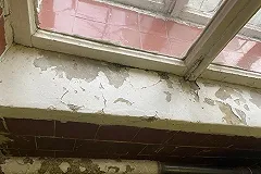 «В стране, вставшей с колен». Болеющий COVID-19 депутат ЕГД в ужасе от системы здравоохранения