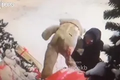 В Екатеринбурге вор ради плюшевой игрушки разрушил новогоднюю дизайн-композицию