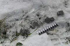 Двое «закладчиков» задержаны с наркотиками в Екатеринбурге