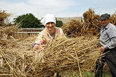 СМИ: В Кремле обсуждают условия смягчения пенсионной реформы