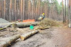Власти Екатеринбурга назначили общественные обсуждения благоустройства Шарташского парка