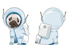 Дизайнеры построят ракету для собак-космонавтов