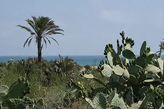 Отец погибшего в Тунисе екатеринбуржца начал свое расследование