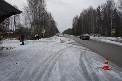 79-летний житель Нижнего Тагила, насмерть сбивший пешехода, жестоко убил супругу