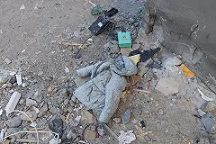 В Челябинске обиделись на слова Ройзмана о взорвавшемся доме в Магнитогорске