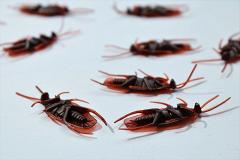На Кубани у мужчины взорвались химикаты во время травли тараканов