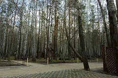 Силовики выяснили, кто зарыл отрубленные руки в парке на Уралмаше