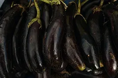 Россельхознадзор раскрыл происхождение овощей в магазинах Свердловской области