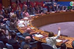 «Продолжат прикрываться живыми людьми». Совбез ООН отклонил российский проект резолюции по Украине