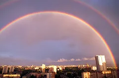 Назван самый популярный цвет в мире