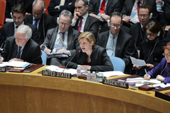 Постпред США в Совбезе ООН перешла на оскорбления России