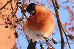 В Екатеринбурге потеплеет к пятнице